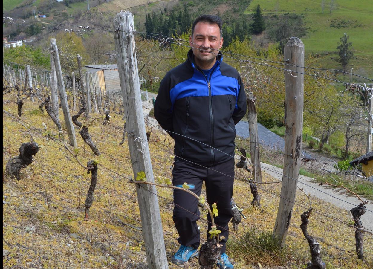 José María Martínez, en sus viñedos de Las Barzaniellas. 