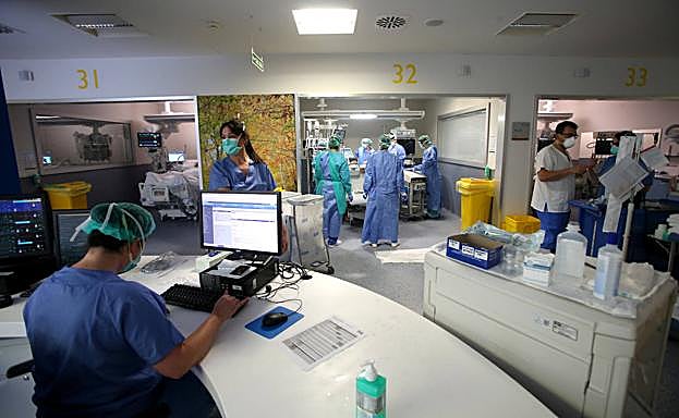 Coronavirus | Salud apuesta por comenzar a «retomar la normalidad» en la atención sanitaria «a todos los niveles»