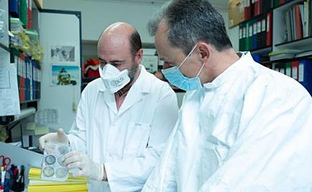 Mariano Esteban y Juan García Arriaza lideran el grupo de investigadores del CNB CSIC. 