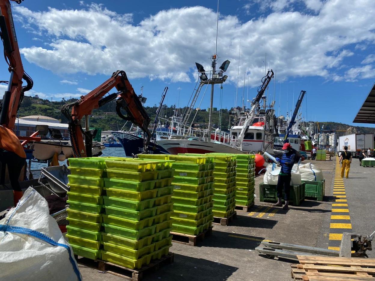 Cajas de bocarte apiladas, ayer, en unos muelles del Rendiello a rebosar de barcos.