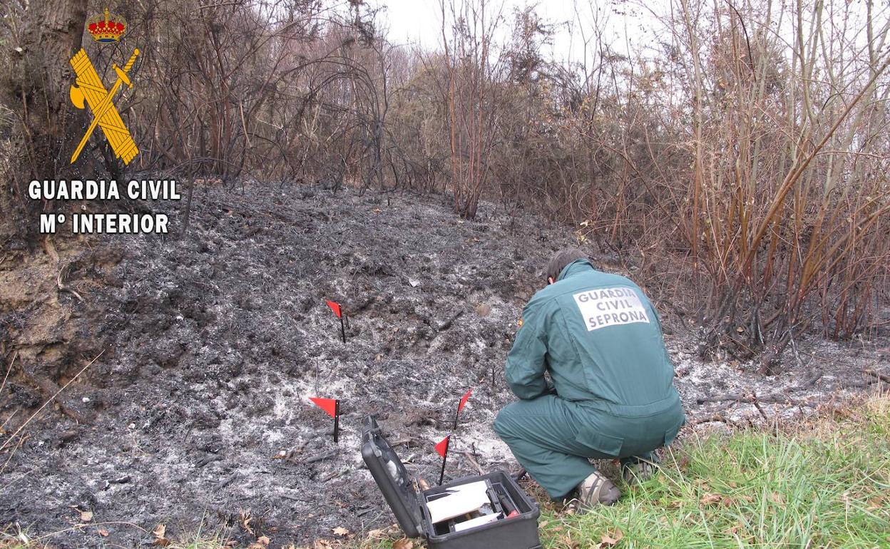 Agentes del SEPRONA, investigando uno de los incendios. 