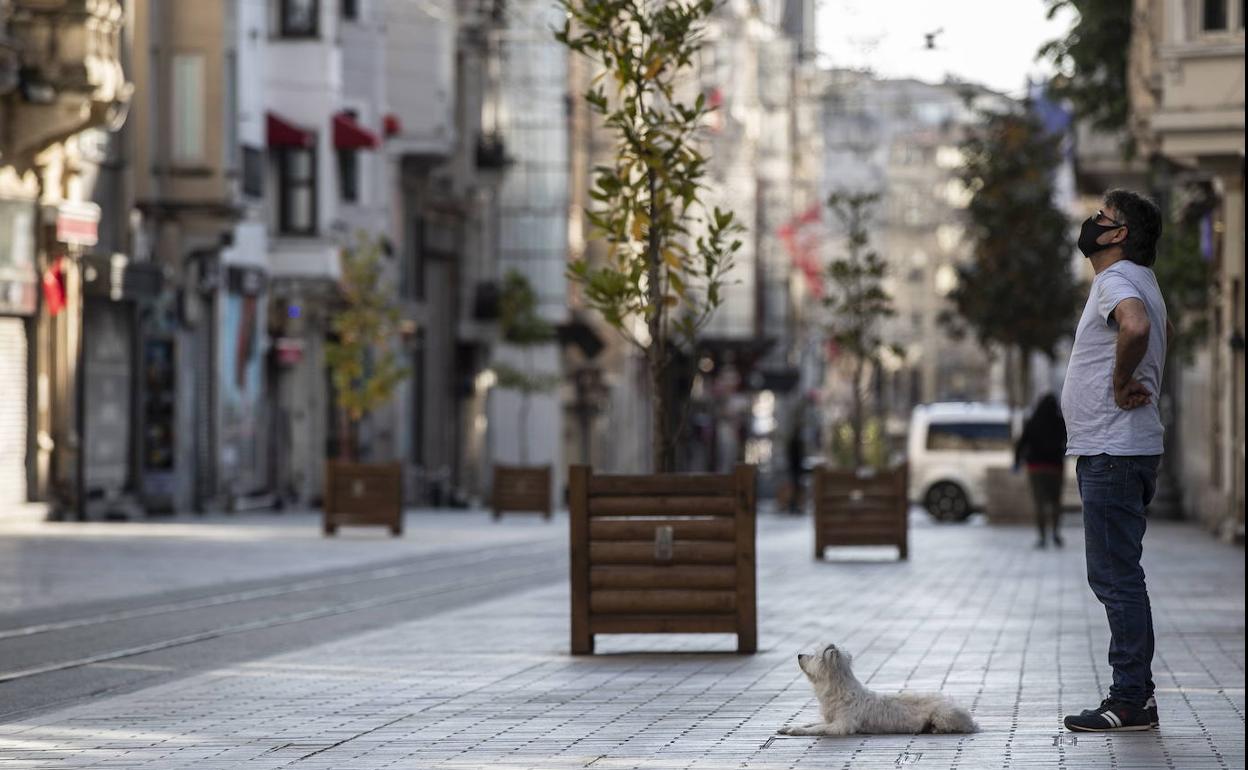 Los veterinarios aconsejan que los afectados por coronavirus dejen a sus mascotas a otras personas