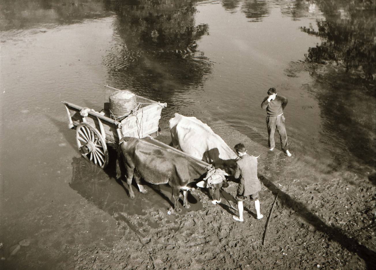 Con motivo del Día de los Museos el Museo del Pueblo de Asturias pone a disposición del público 40.000 imágenes de su colección que ya se pueden consultar online y que permite viajar en el tiempo entre los años 1.880 y 2.000. 