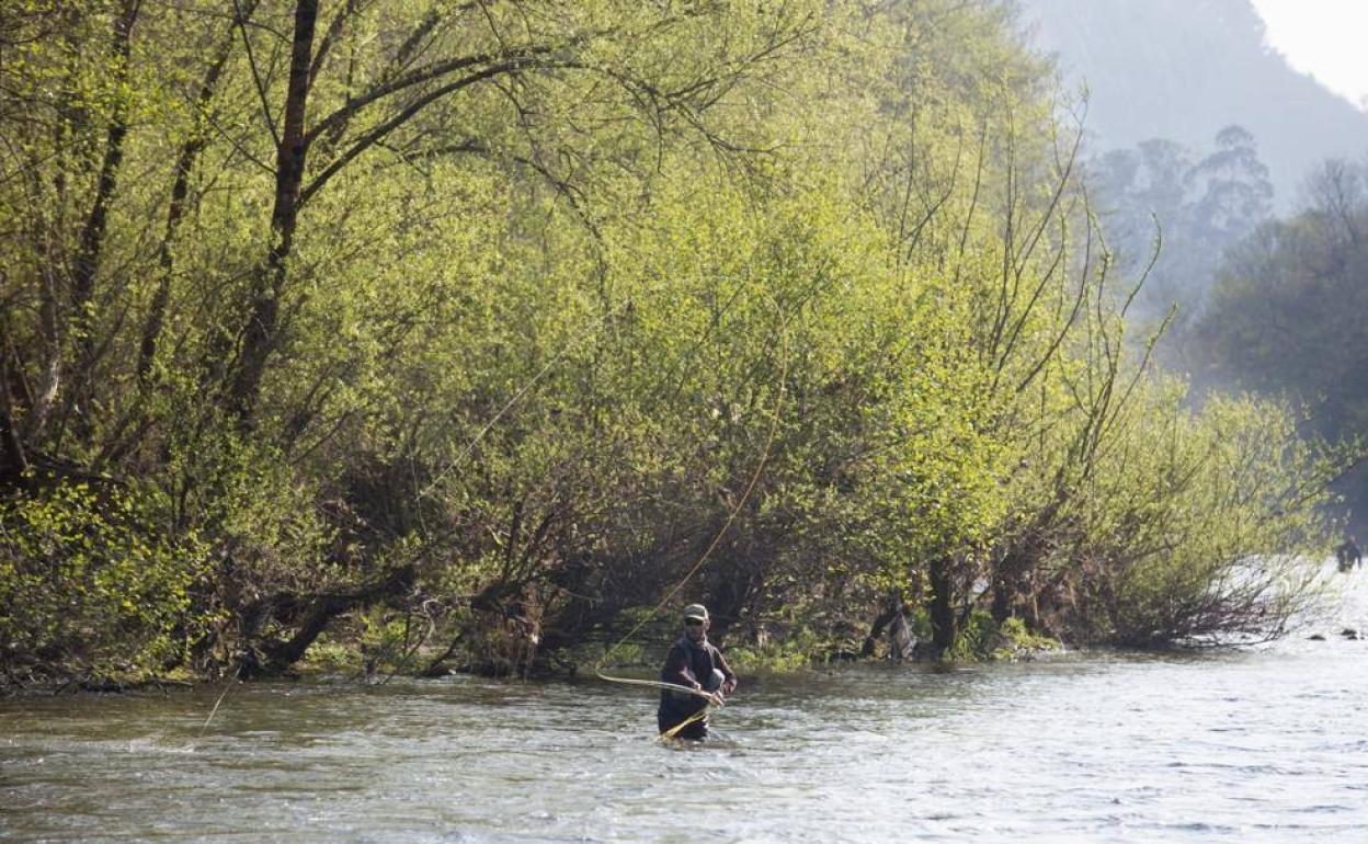 Los pescadores podrán capturar el campanu este martes