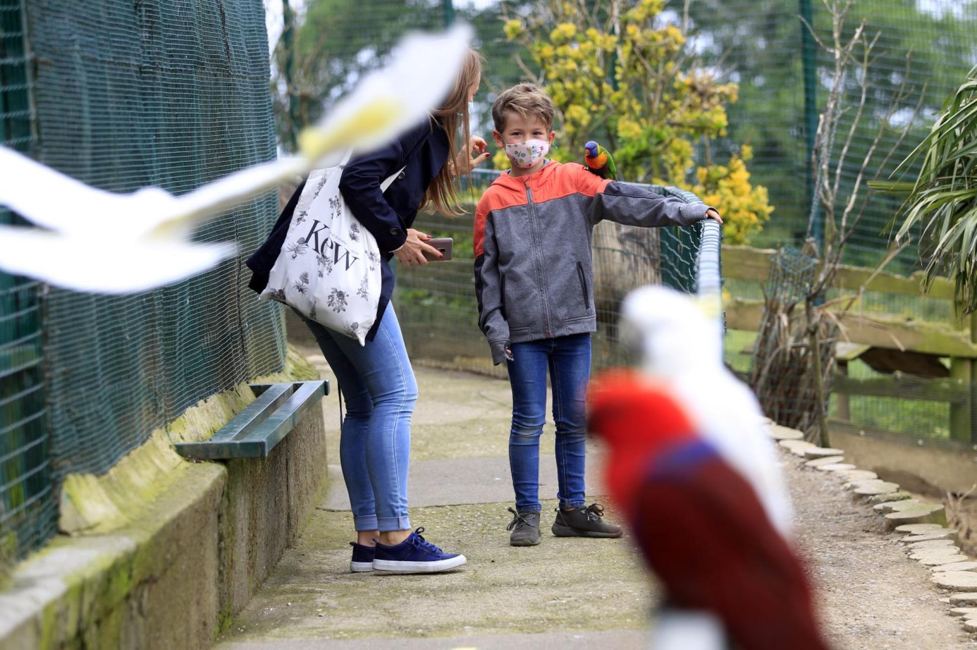 Cristina fotografía a Gael jugando con uno de los pájaros del aviario. 