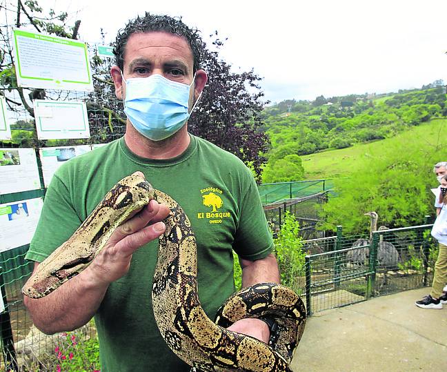 Gonzalo Rubio, dueño del zoo, sostiene una serpiente.