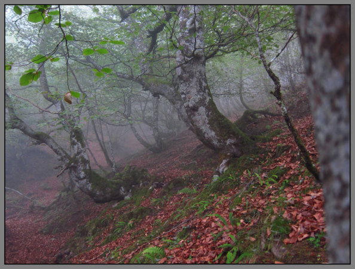 Fotos: Los mejores balcones nos esperan en la montaña