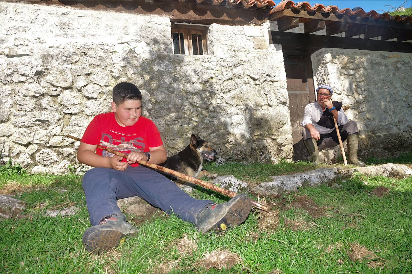 El 1 de junio es la fecha que cada año se toma como referencia en la apertura de pastos para el ganado menor