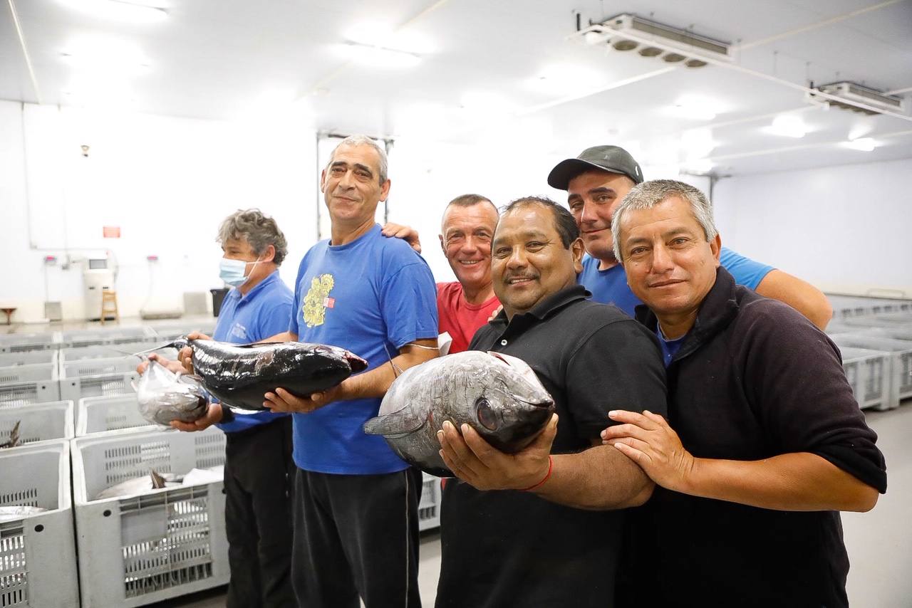 La temporada se estrenó con la venta a 14.03 euros el kilo en la primera tina de bonito grande, 119 kilos que se llevó Pescados El Kiku, de Tazones. El resto, mas de 8.800 kilos, lo compró Alimerka a 12.96 euros. 