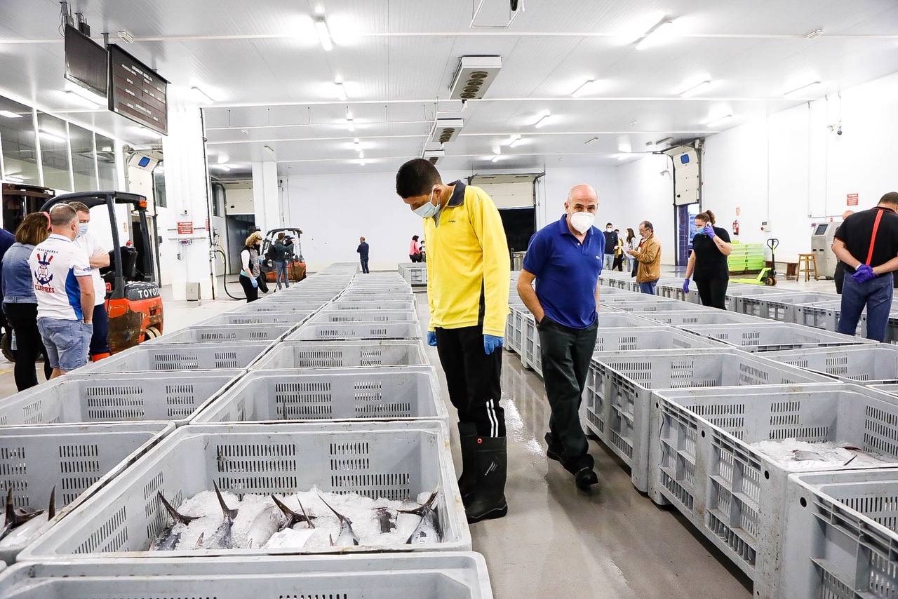 La temporada se estrenó con la venta a 14.03 euros el kilo en la primera tina de bonito grande, 119 kilos que se llevó Pescados El Kiku, de Tazones. El resto, mas de 8.800 kilos, lo compró Alimerka a 12.96 euros. 