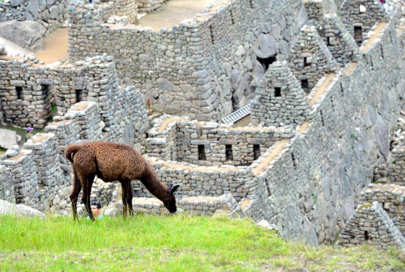 El reclamo turístico más popular de Perú volverá a recibir visitas partir de julio. Después de tres meses cerrado al público a causa de la crisis del coronavirus, las autoridades del país han anunciado un protocolo sanitario para reabrir las ruinas de Machu Picchu. 