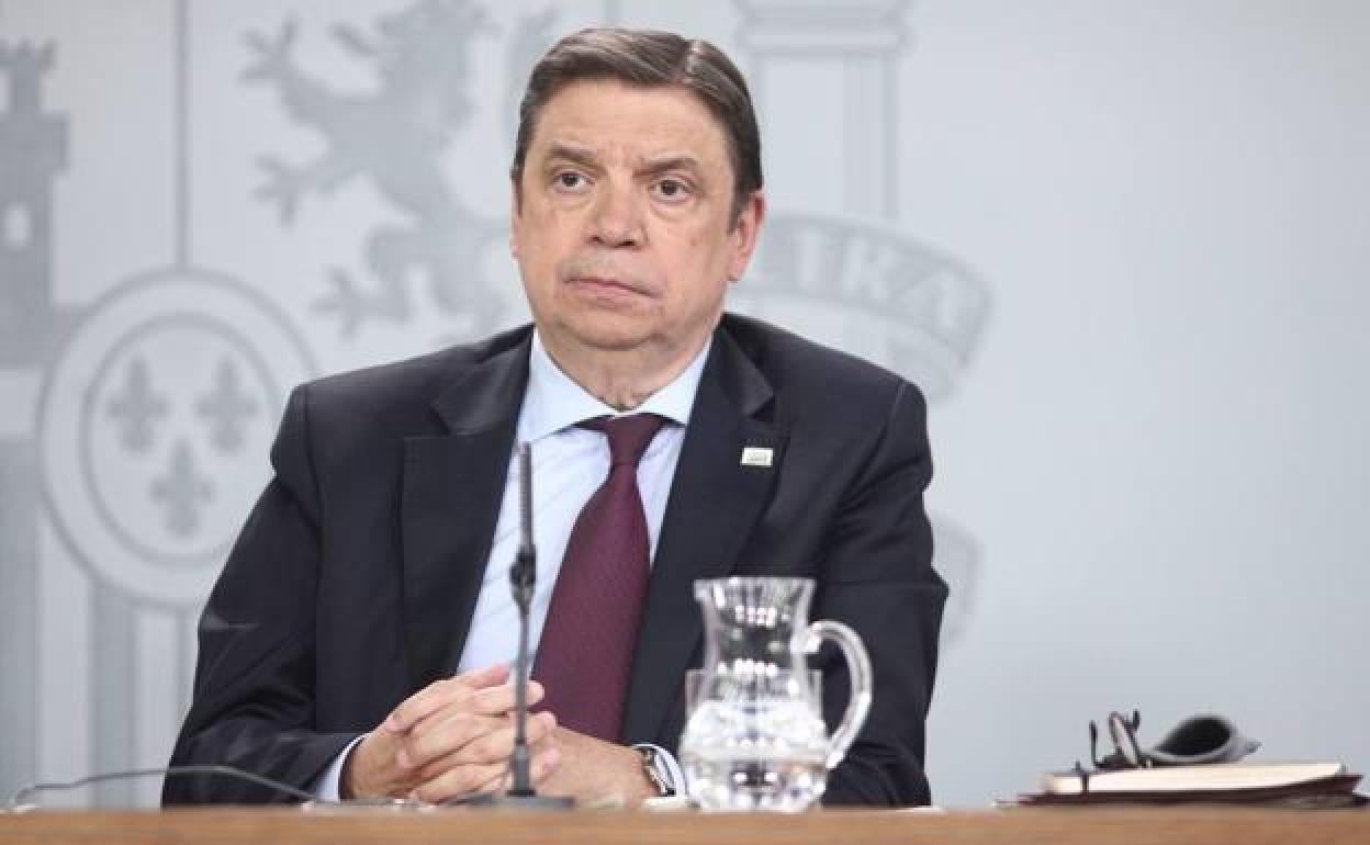 El ministro de Agricultura, Pesca y Alimentación, Luis Planas. 