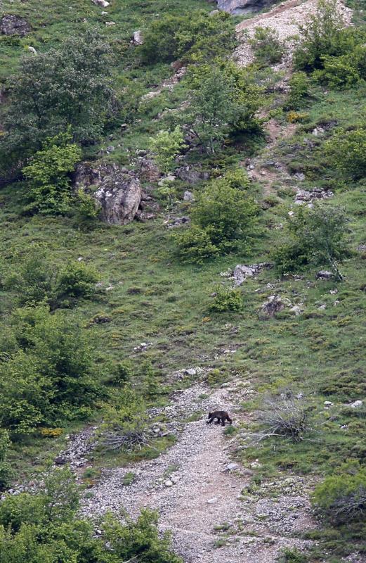 El Parque Natural de Somiedo con su paisajes, fauna y flora, hace de este rincón asturiano un lugar privilegiado para el esparcimiento. La orografía oscila desde los 400 metros a los casi 2.200, con lagos, Saliencia y del Valle, y teitos, construcciones que utilizaban los vaqueiros de alzada realizadas con techumbre de escoba.