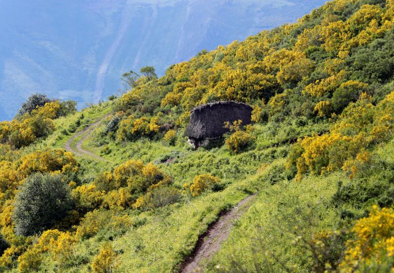 El Parque Natural de Somiedo con su paisajes, fauna y flora, hace de este rincón asturiano un lugar privilegiado para el esparcimiento. La orografía oscila desde los 400 metros a los casi 2.200, con lagos, Saliencia y del Valle, y teitos, construcciones que utilizaban los vaqueiros de alzada realizadas con techumbre de escoba.