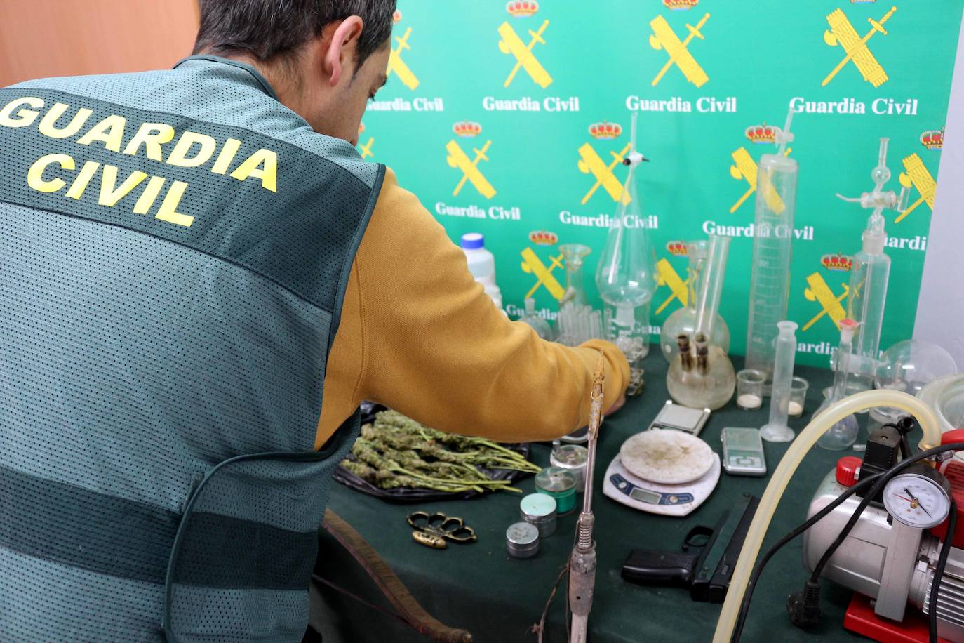 La Guardia Civil ha desmantelado cuatro centros de cultivo de marihuana en operaciones llevadas a cabo en Asturias, Alicante y Almería, donde han sido detenidas cinco personas y se han incautado cerca de 1.500 plantas de cannabis. 