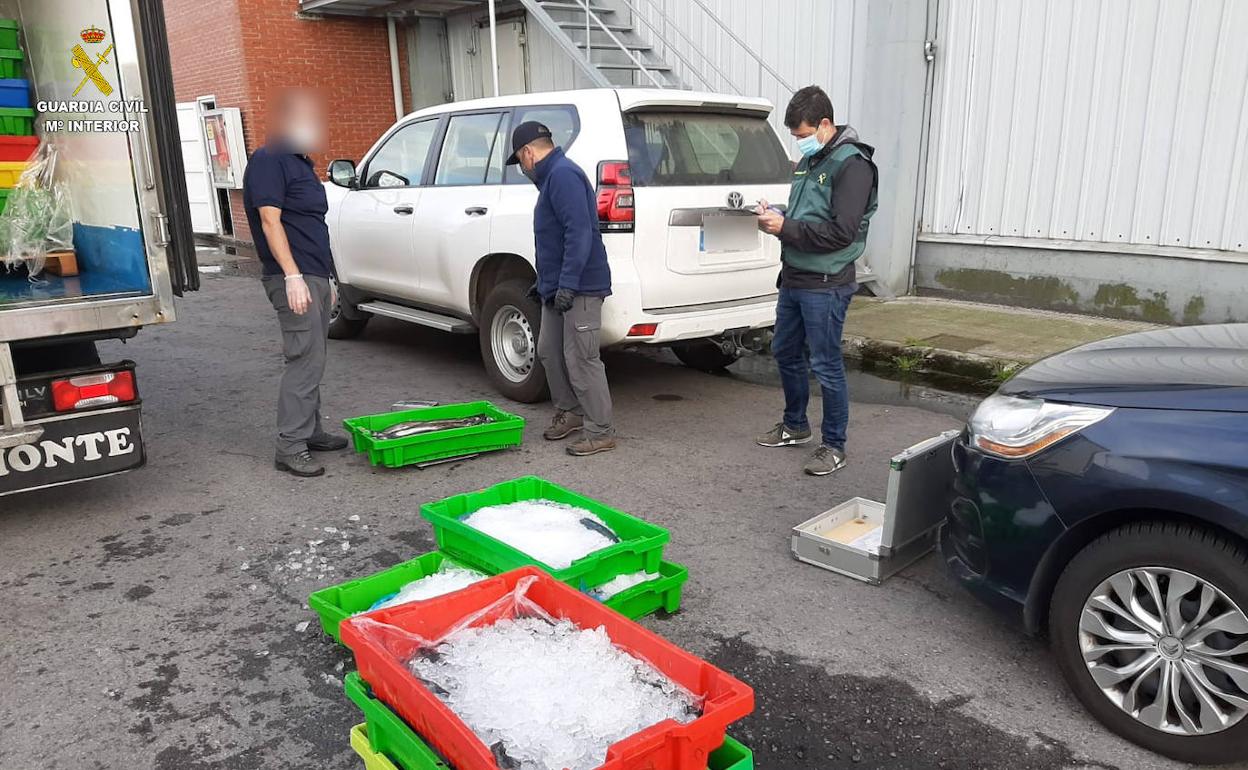 Cajas de la merluza intervenida.