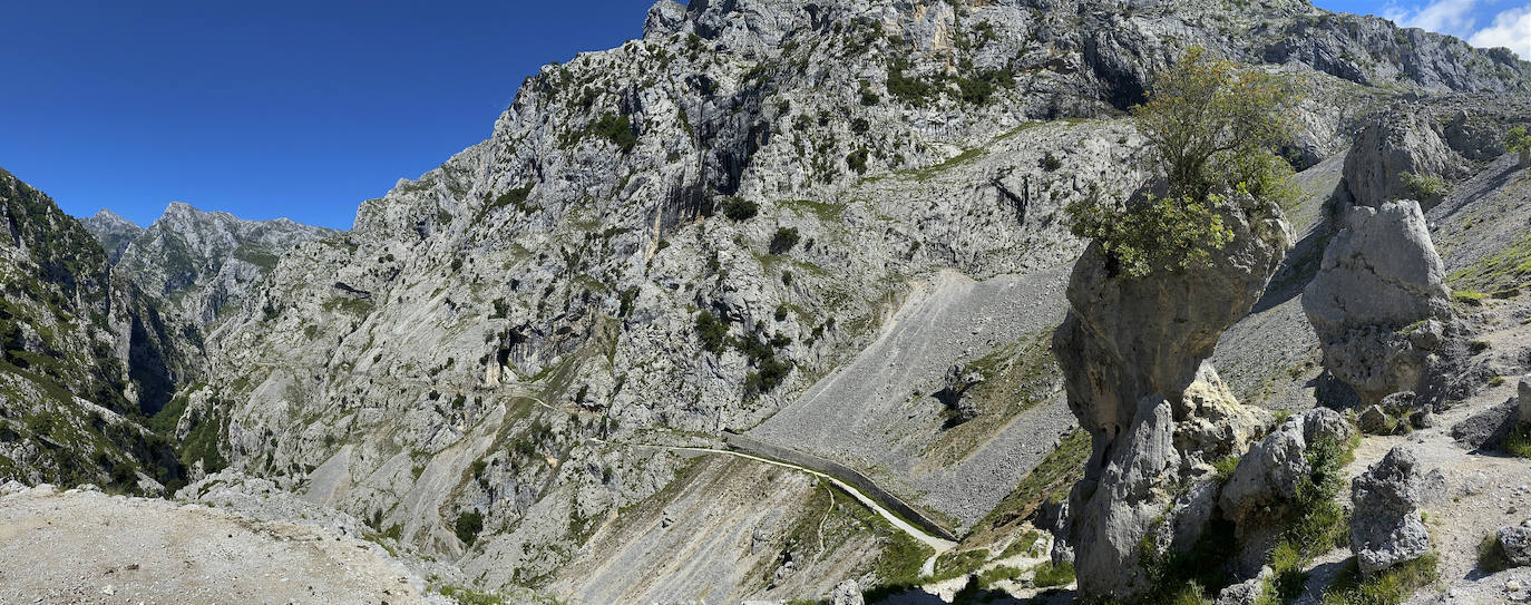 Los aficionados al senderismo han estrenado el verano y la nueva normalidad con un espléndido día para adentrarse en la montaña. El Urriellu, en los Picos de Europa, ha sido el telón de fondo mara muchos de los amantes de este deporte que ha acudido a realizar la popular Ruta del Cares. Poco a poco, el sendero va recuperando su afluencia habitual. 