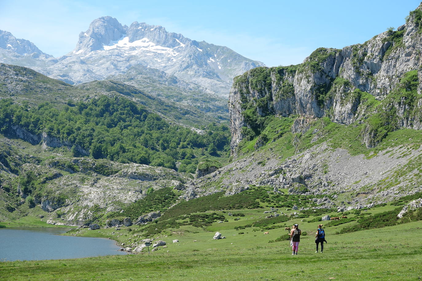 20. Lagos de Covadonga | Se trata de uno de los parajes naturales más espectaculares de Asturias. A solo unos kilómetros del Santuario de Covadonga (una parada obligatoria), se puede acceder a este enclave del Parque Nacional Picos de Europa en transporte público. 