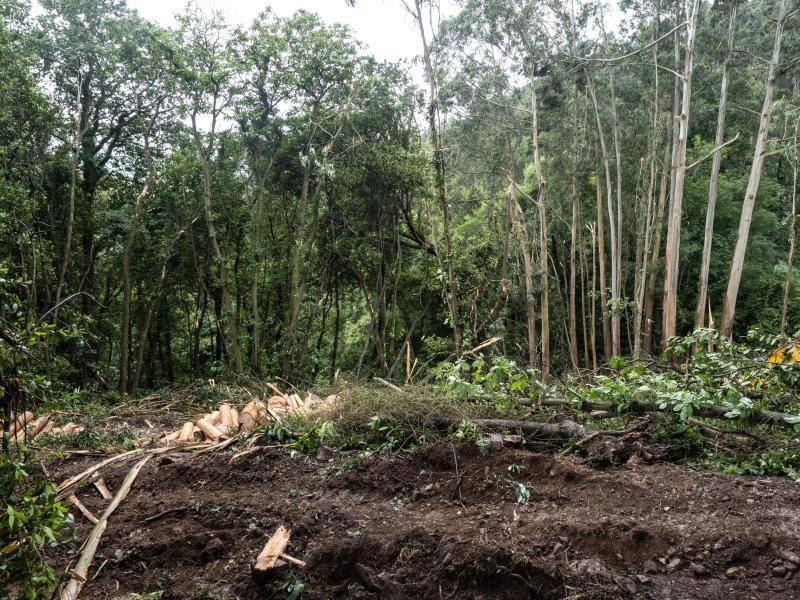 Fotos: Fallece un trabajador de la madera en Cancienes