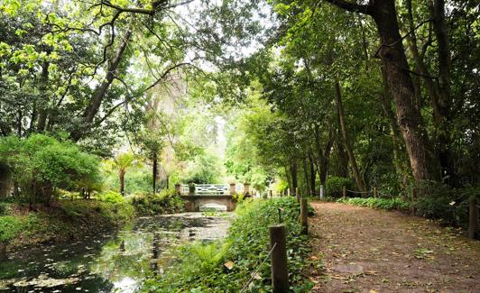 Jardín Botánico de Gijón. 