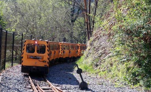 Tren de Samuño.