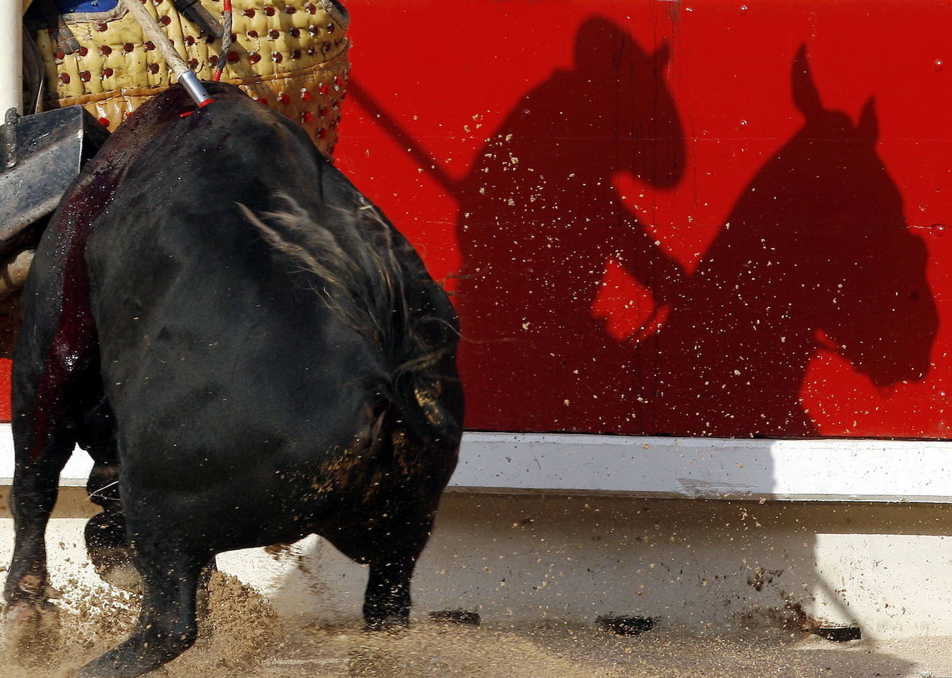 La crisis sanitaria ha provocado una imagen absolutamente inusual en estas fechas en Pamplona. Por primera vez en 42 años no habrá corredores ni toros un 7 de julio. La feria del toro y el resto de actos festivos han sido suspendidos, por lo que ni los toros correrán desde los corrales de Santo Domingo hasta el coso pamplonés a los ocho de la mañana, ni por las tardes tendrá lugar en él ningún festejo taurino. Estas son las imágenes que no se verán este 2020 durante San Fermín. 