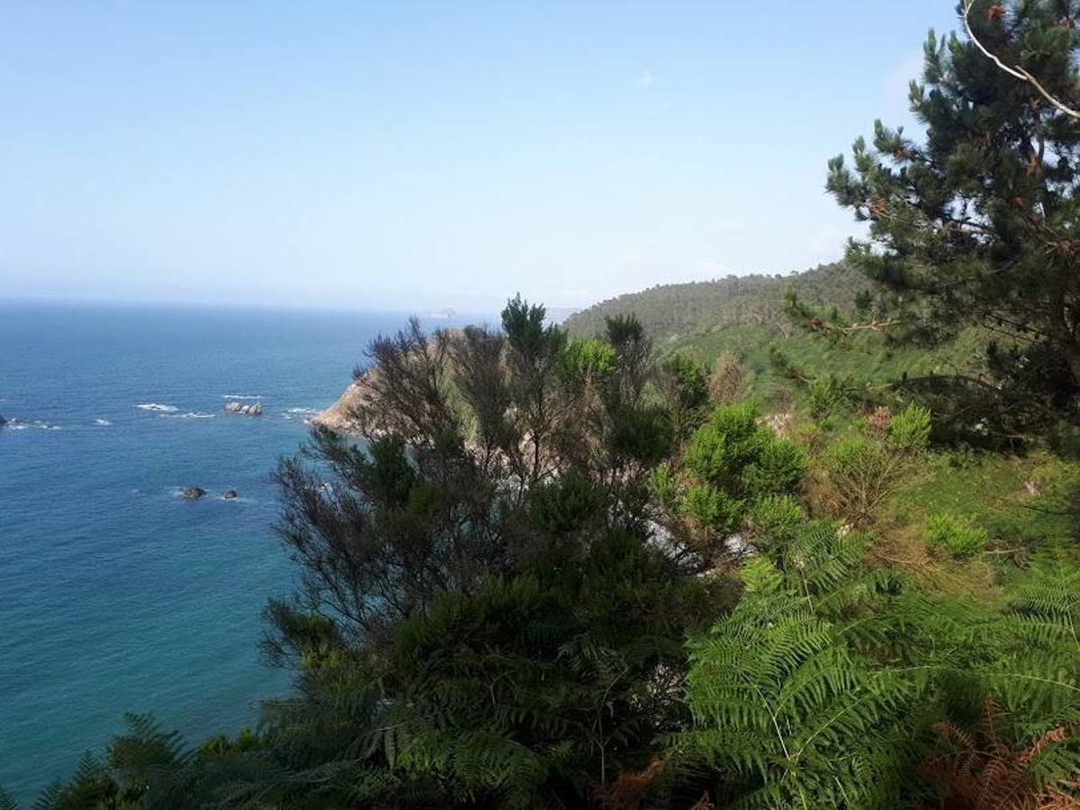 Fotos: Un paseo entre miradores por Muros de Nalón
