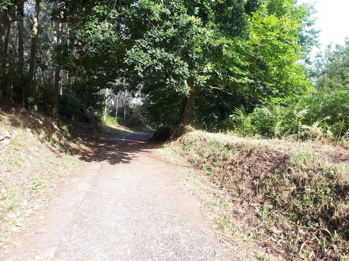 Fotos: Un paseo entre miradores por Muros de Nalón
