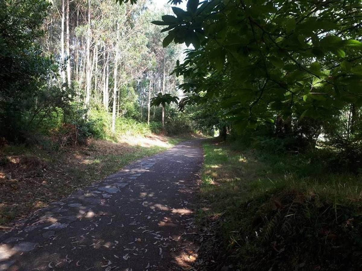 Fotos: Un paseo entre miradores por Muros de Nalón