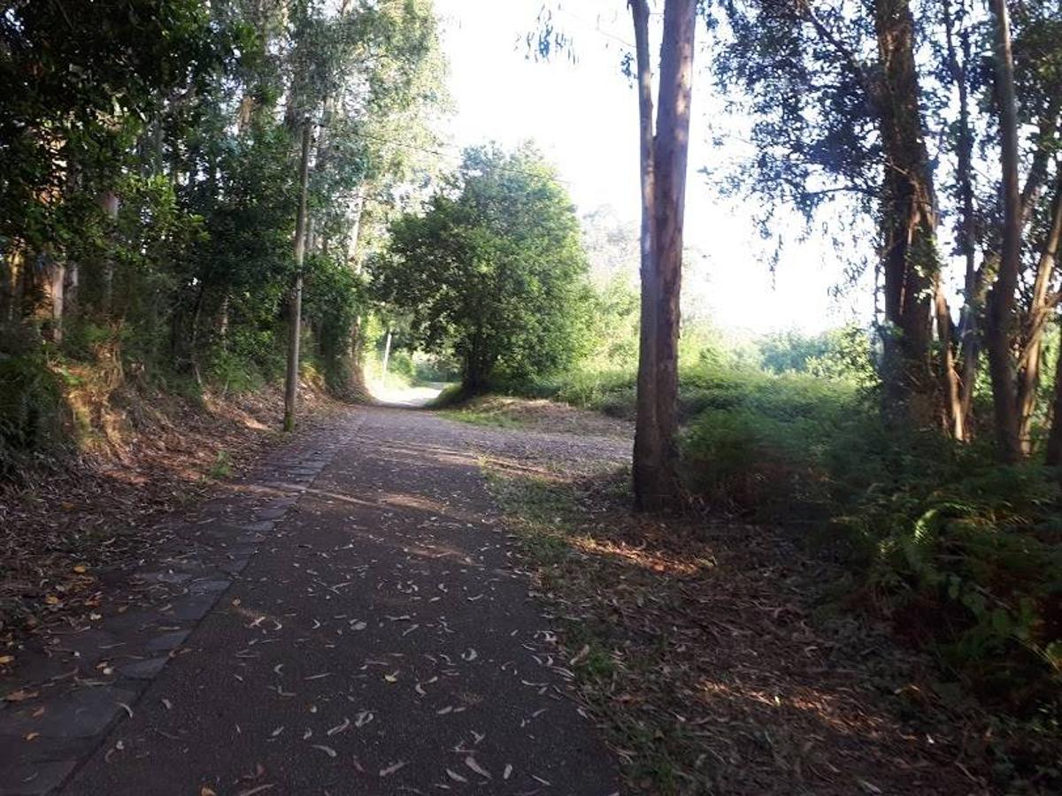 Fotos: Un paseo entre miradores por Muros de Nalón