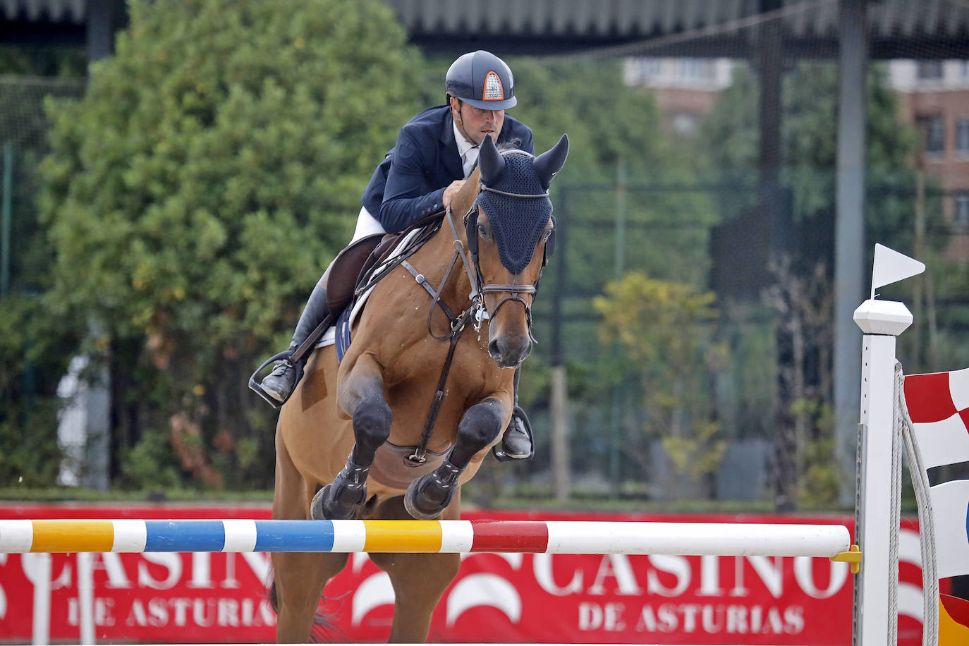 Fotos: Caballos jóvenes y adultos se dan cita para realizar pruebas de altura