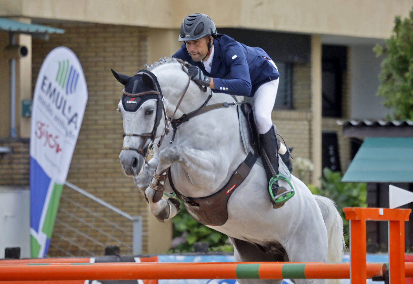 Fotos: Caballos jóvenes y adultos se dan cita para realizar pruebas de altura