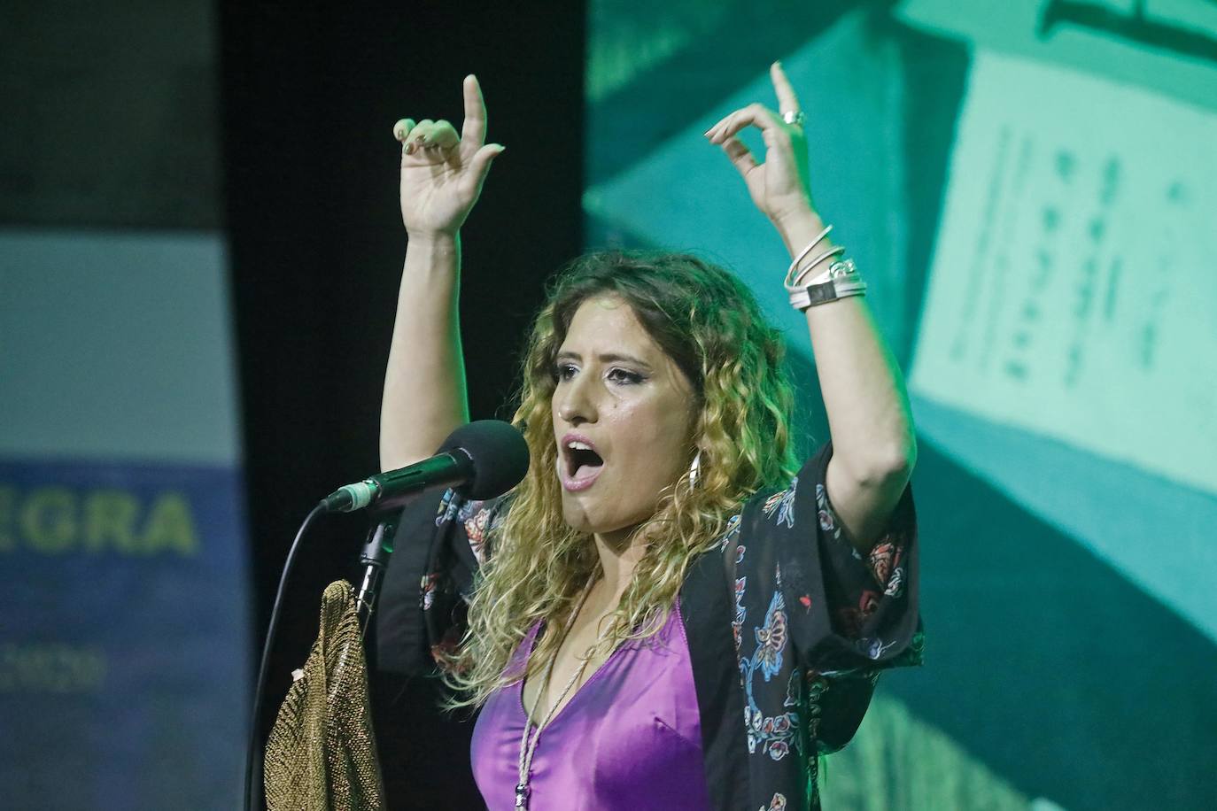 La tonada, y mucho más, sonó ayer en el Antiguo Instituto. La invitada de lujo, Anabel Santiago, quien demostró como ha sabido llevar la tradición más pura a los territorios más modernos, gracias a la fusión de estilos.