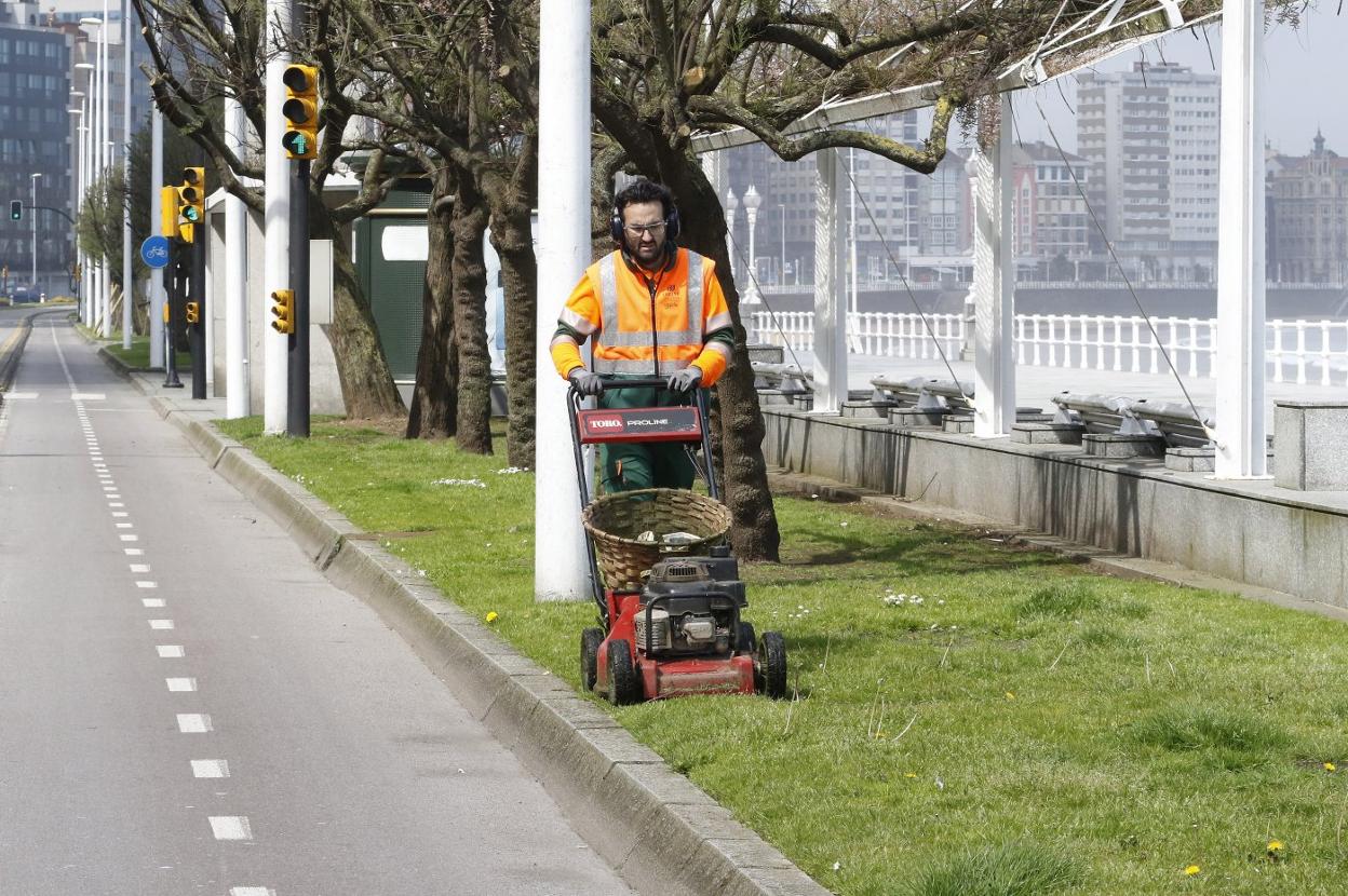 Un trabajador de Emulsa corta el césped de las zonas verdes del paseo del Muro. 