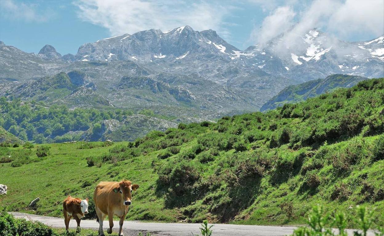 Asturias, Galicia y Murcia, las regiones donde es más barato viajar este verano