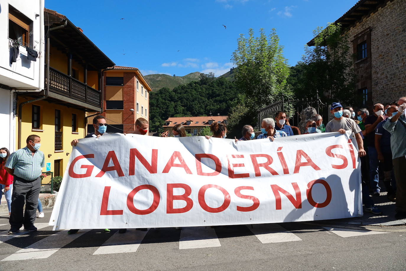 Cerca de 300 ganaderos salen a la calle en Cangas de Onís ante el importante repunte de los ataques que sus animales llevan sufriendo desde junio. 
