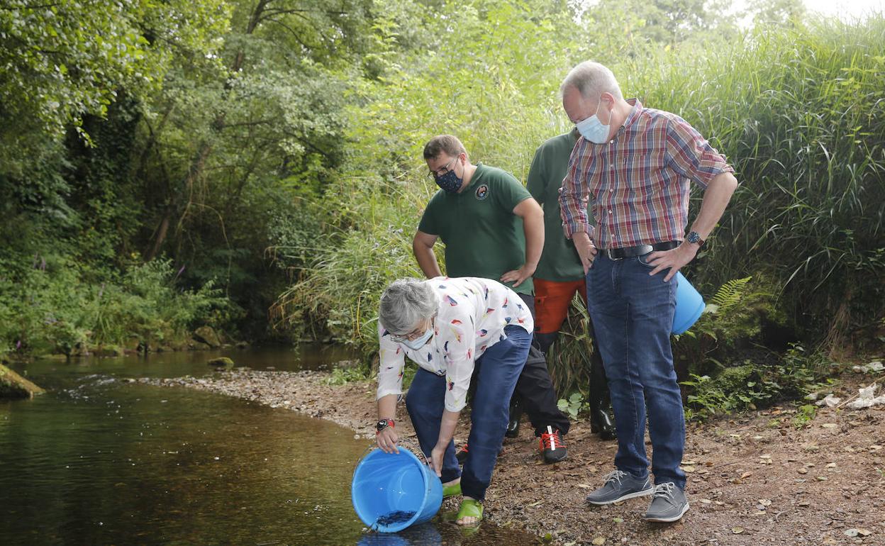 La suelta de 10.000 alevines de trucha en el Piles marca un paso más hacia la naturalización del río