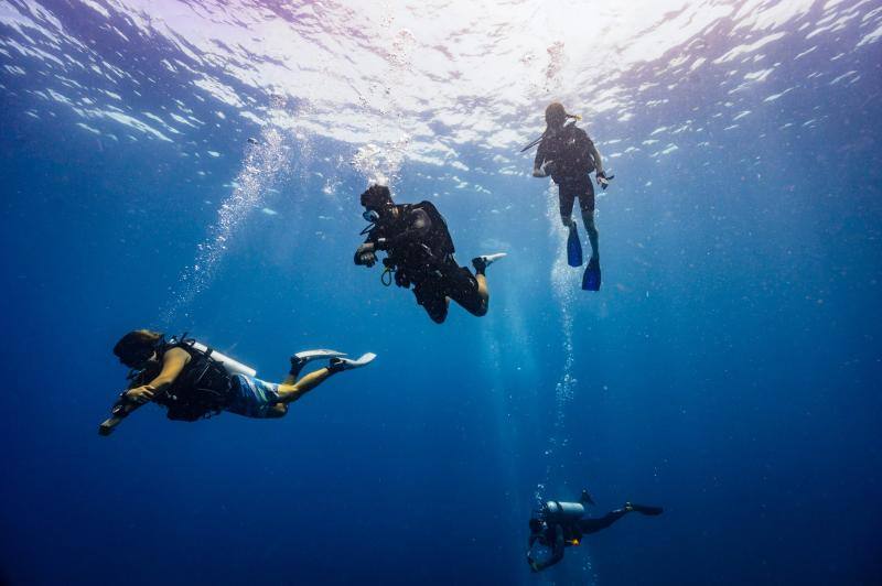 Espectaculares imágenes de anémonas, peces, o corales en la isla de Koh Tao, en la provincia de Surat Thani, en el sur de Tailandia.