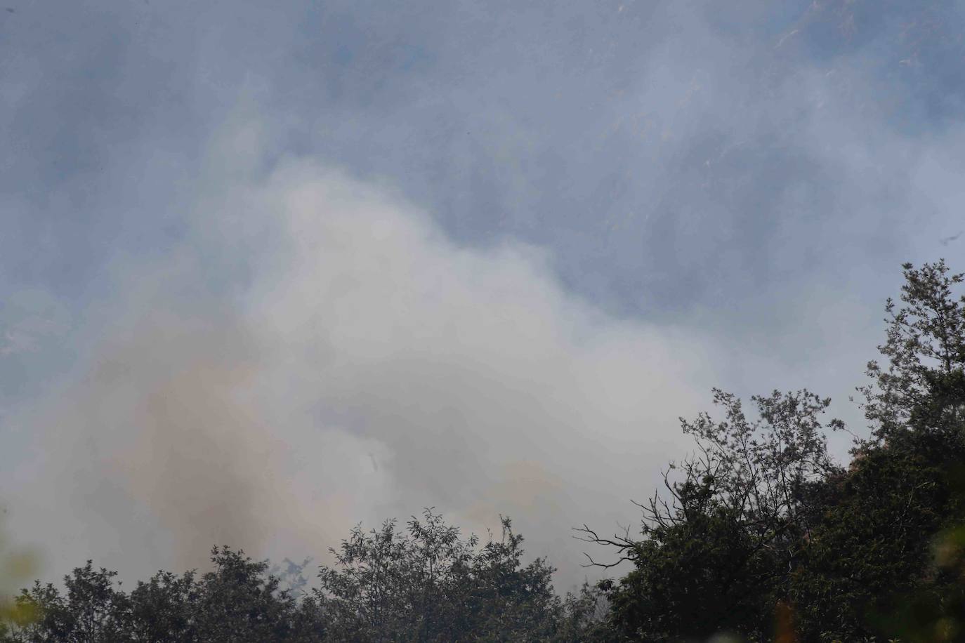 El fuego se localiza en el monte vecinal de Bello y Pando