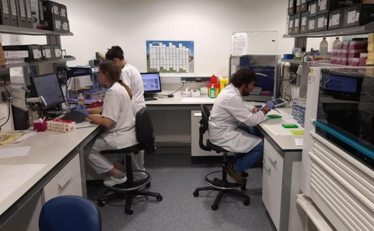 Coronavirus en Asturias | Salud confirma 19 nuevos casos en Asturias