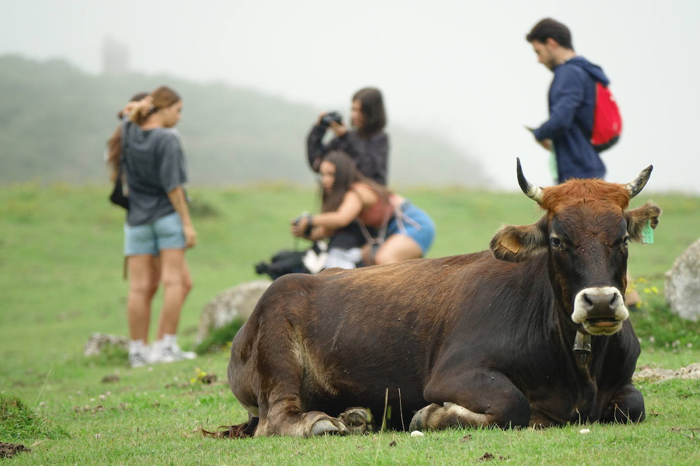 La región, que comienza el cambio de quincena con cielos nubosos, ha visto, no obstante, con sus puntos más turísticos se llenaban de visitantes. 