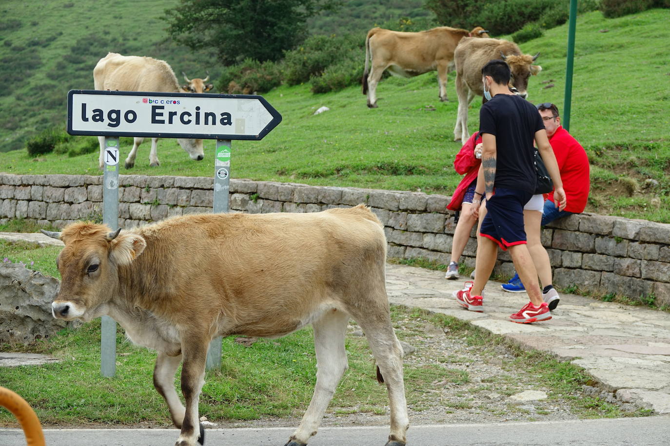 La región, que comienza el cambio de quincena con cielos nubosos, ha visto, no obstante, con sus puntos más turísticos se llenaban de visitantes. 