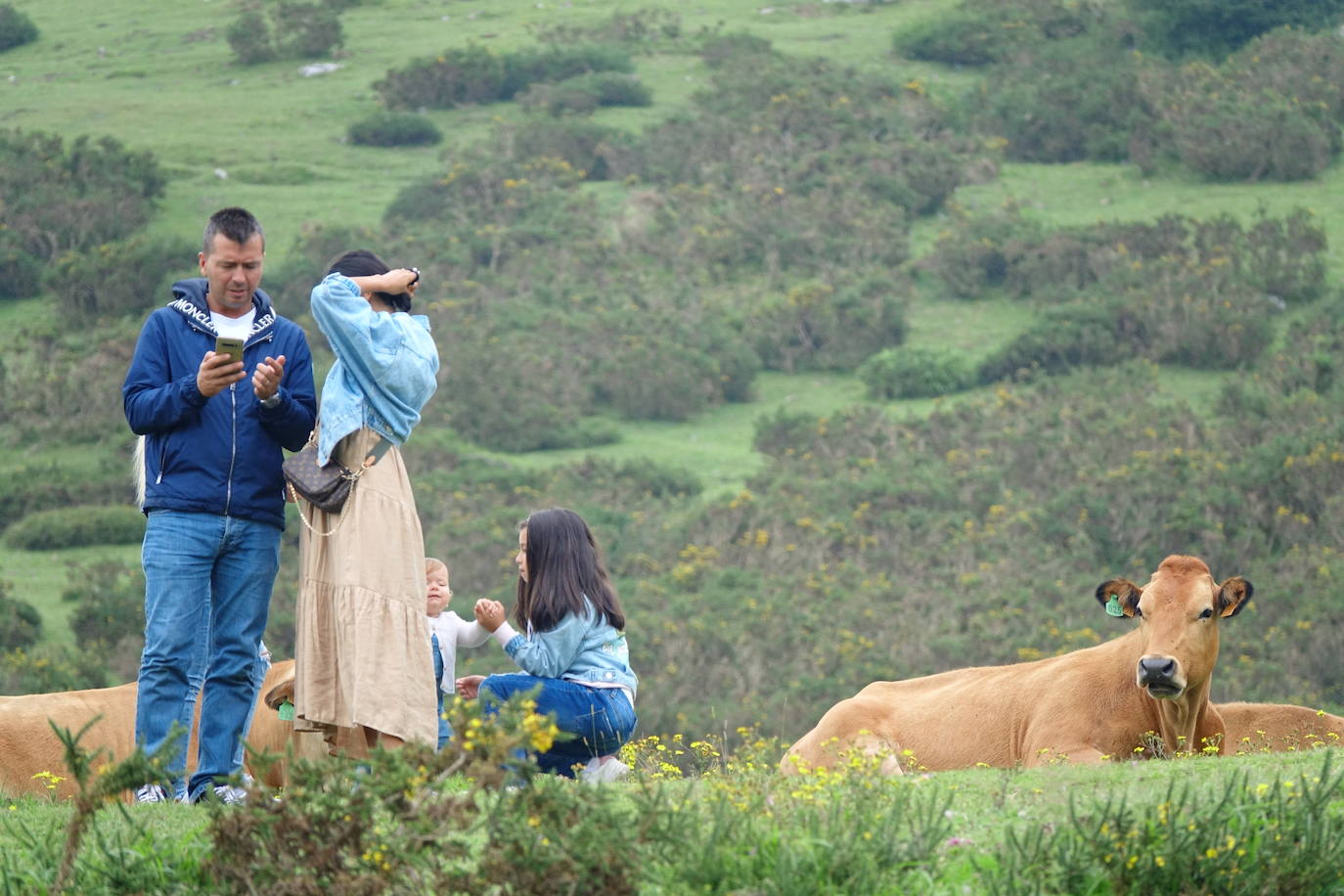 La región, que comienza el cambio de quincena con cielos nubosos, ha visto, no obstante, con sus puntos más turísticos se llenaban de visitantes. 