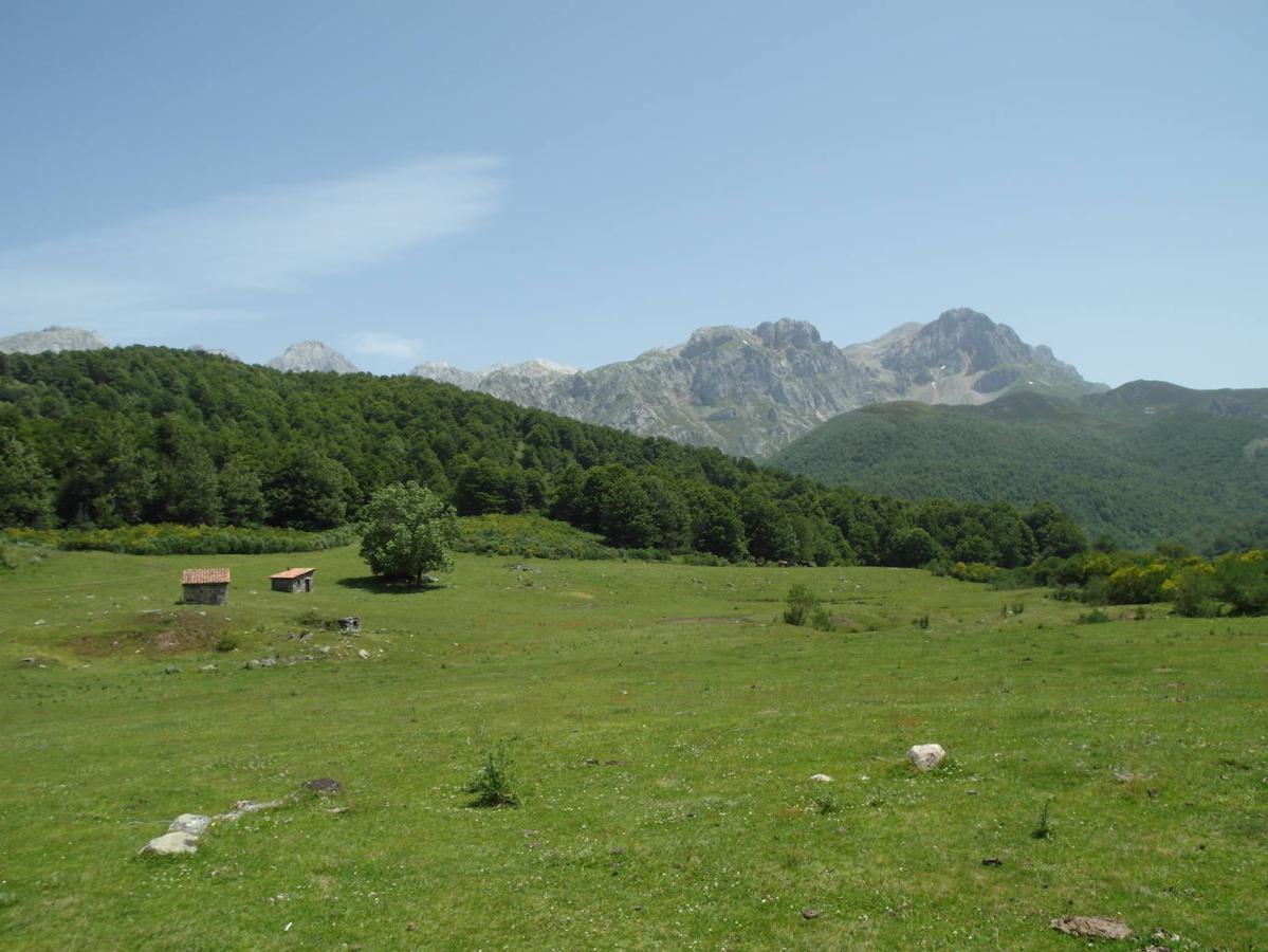 Magada de Vegabaño: La majada de Vegabaño es uno de los lugares que no te puedes perder si te acercas a Soto de Sajambre. Podrás llegar a ella a través de una ruta de unos 3 kilómetros que parte desde la zona alta de Soto de Sajambre, todo por un camino sin dificultad paralelo al río Aguera. Una vez en la majada, además de unas bonitas vistas del entorno, tendremos la posibilidad de seguir con nuestra ruta por numerosas alternativas como: la ascensión al Pico Jario, a la Cotorra del Escobaño o al Cabronero. Todas ellas nos adentrarán en el corazón del Macizo Occidental de los Picos de Europa.