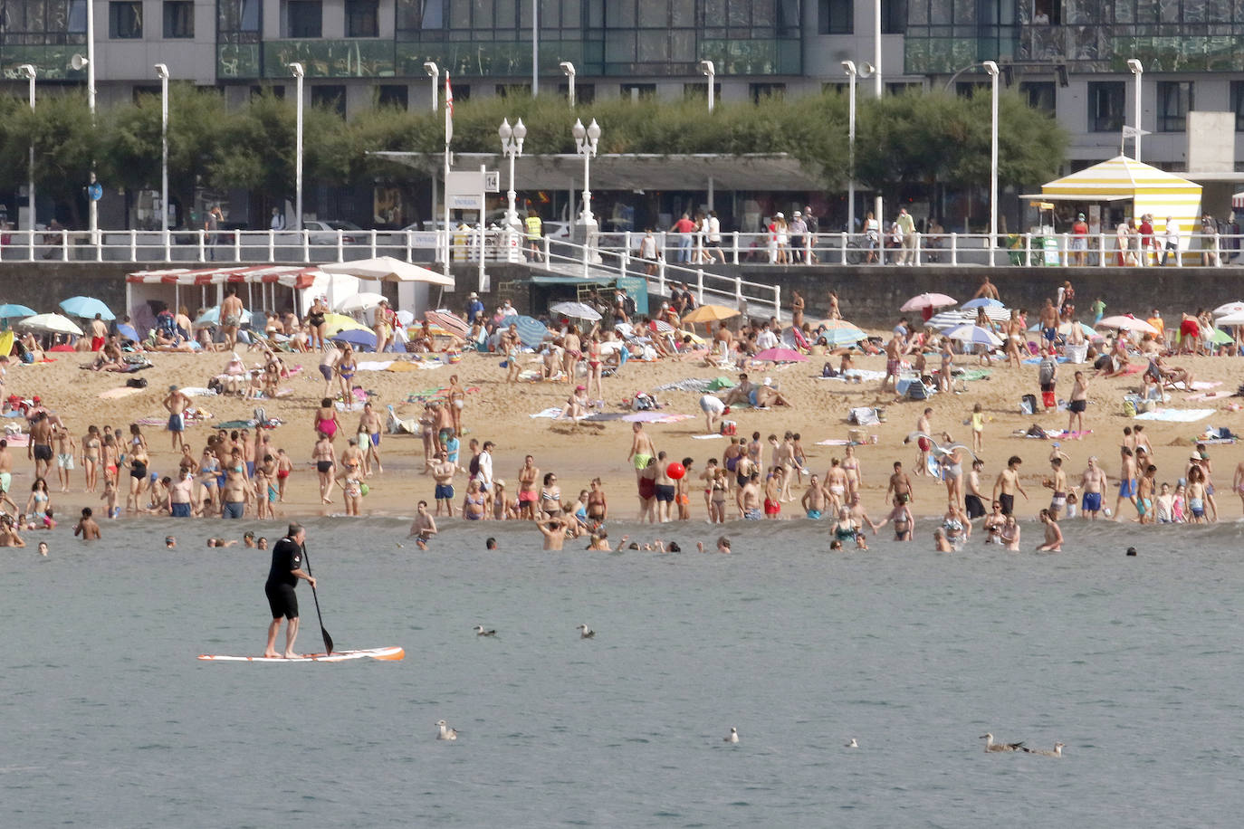 Las lanchas de pasaje de Canteli navegan todos los días por la bahía mostrando la ciudad a las personas que buscan una perspectiva diferente