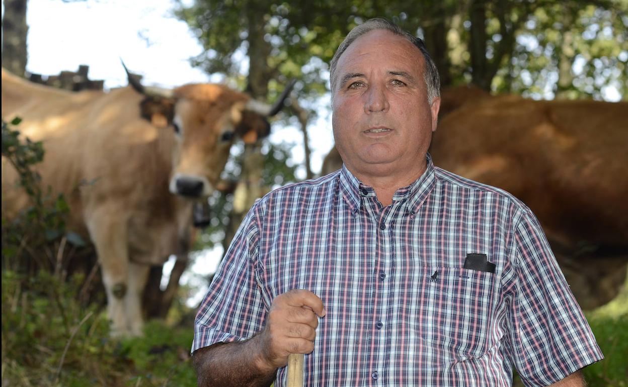 Valeriano Remis presidió la Asociación de Criadores de la Raza Asturiana de la Montaña durante casi dos décadas.