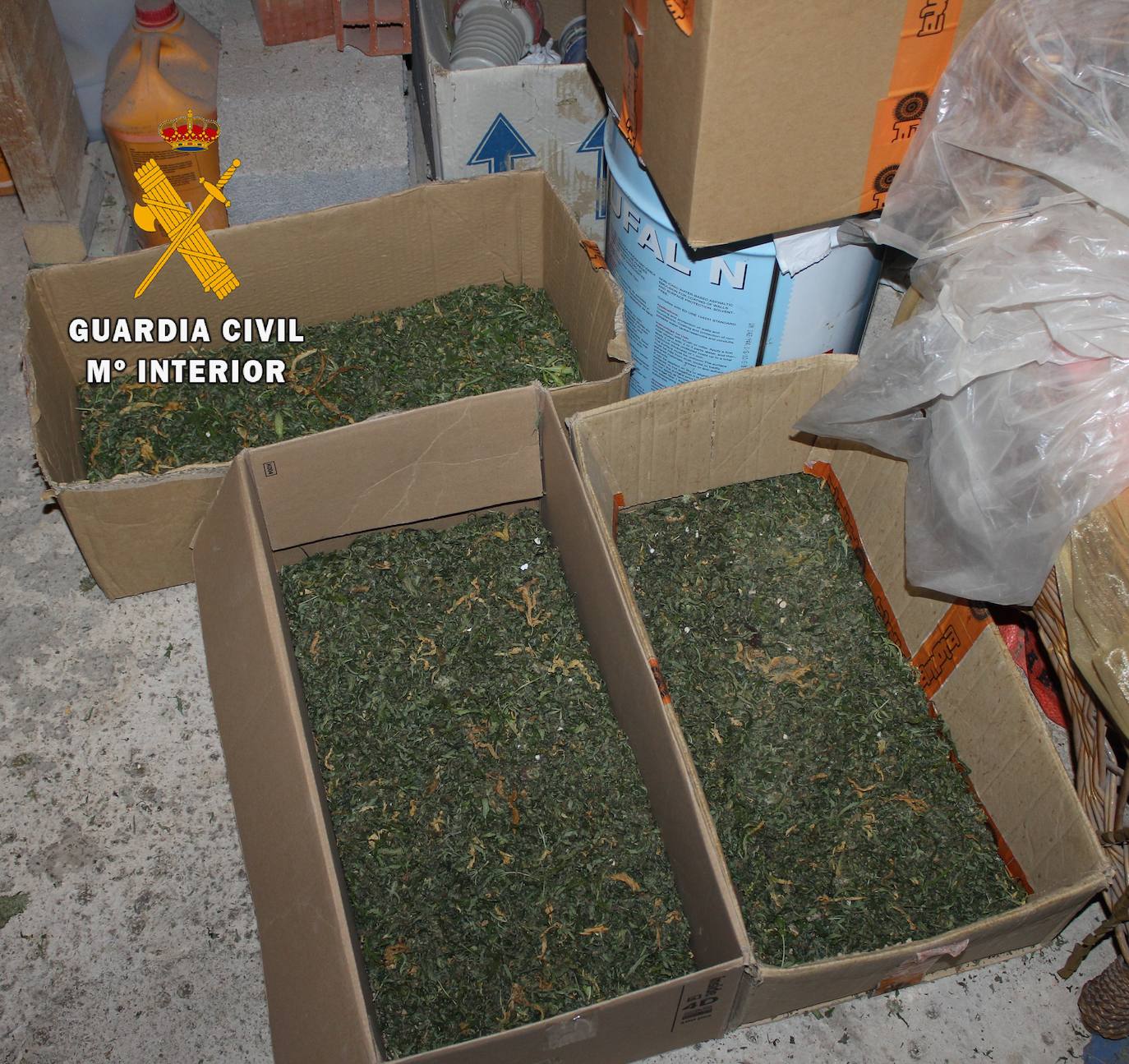 La Guardia Civil ha detenido a tres hombres por una plantación de marihuana en una vivienda de Oviedo, donde se hallaron droga valorada en unos 60.000 euros, útiles para el cultivo en otros 50.000 euros y tres carabinas.