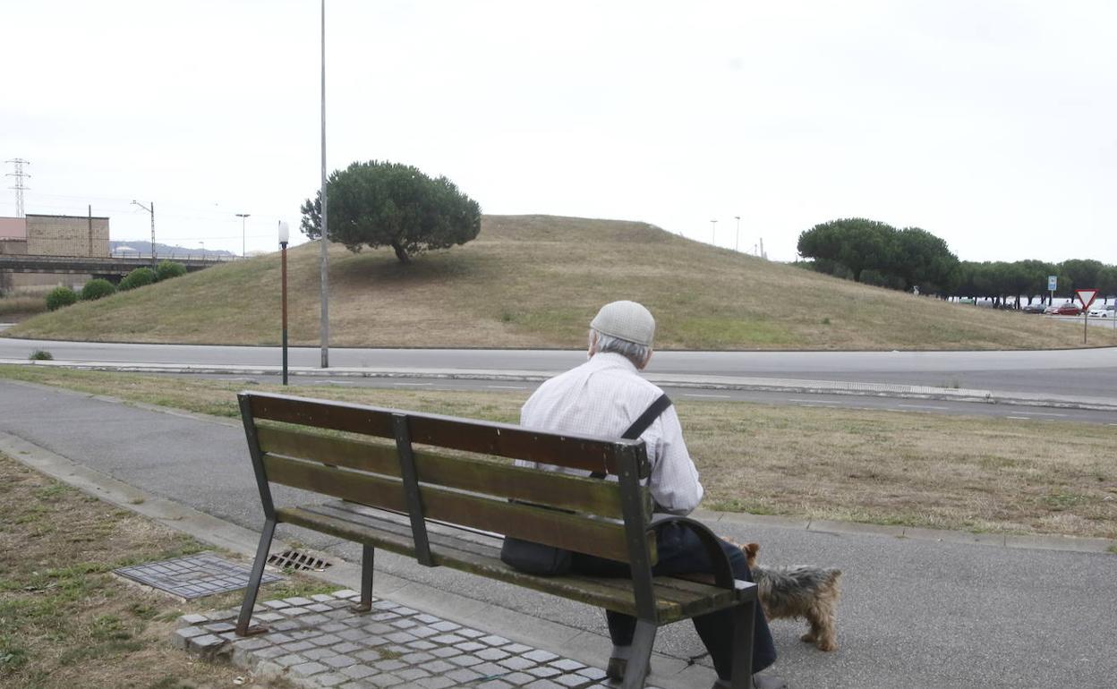 Rotonda de El Arbeyal, donde hallaron el cadáver del hombre de 60 años.