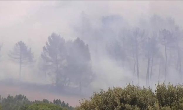 Un incendio forestal habría sido provocado para ocultar un cadáver