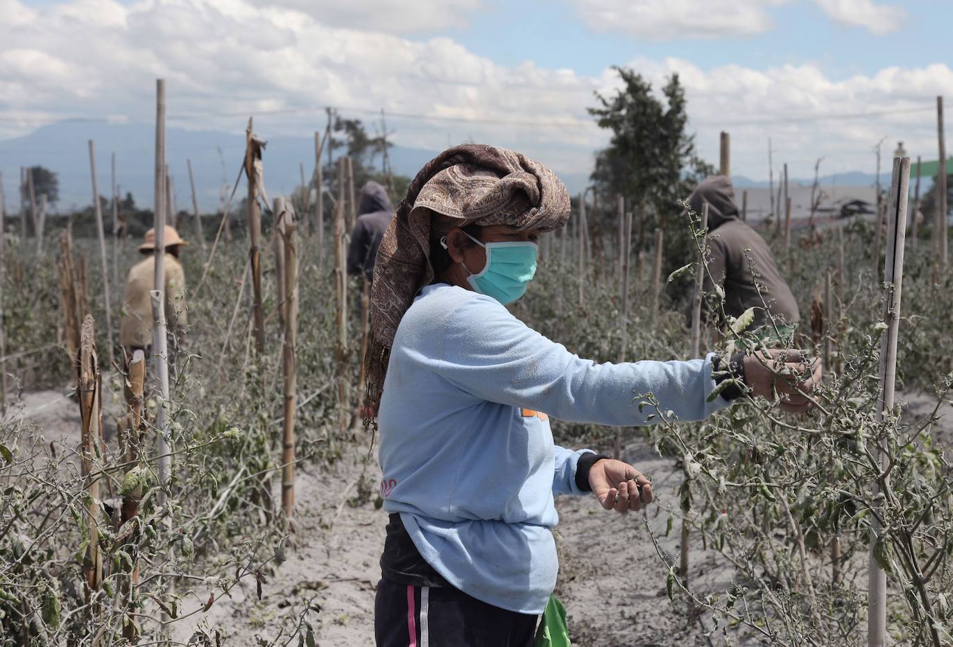 La nube de ceniza que ha expulsado alcanzó los 4.500 metros de altura 